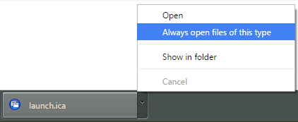 Citrix Connection Center